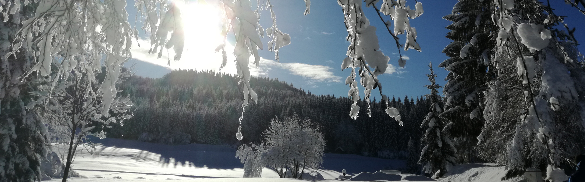 slide 6